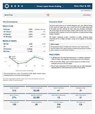 SERA Capital Market Briefing sample